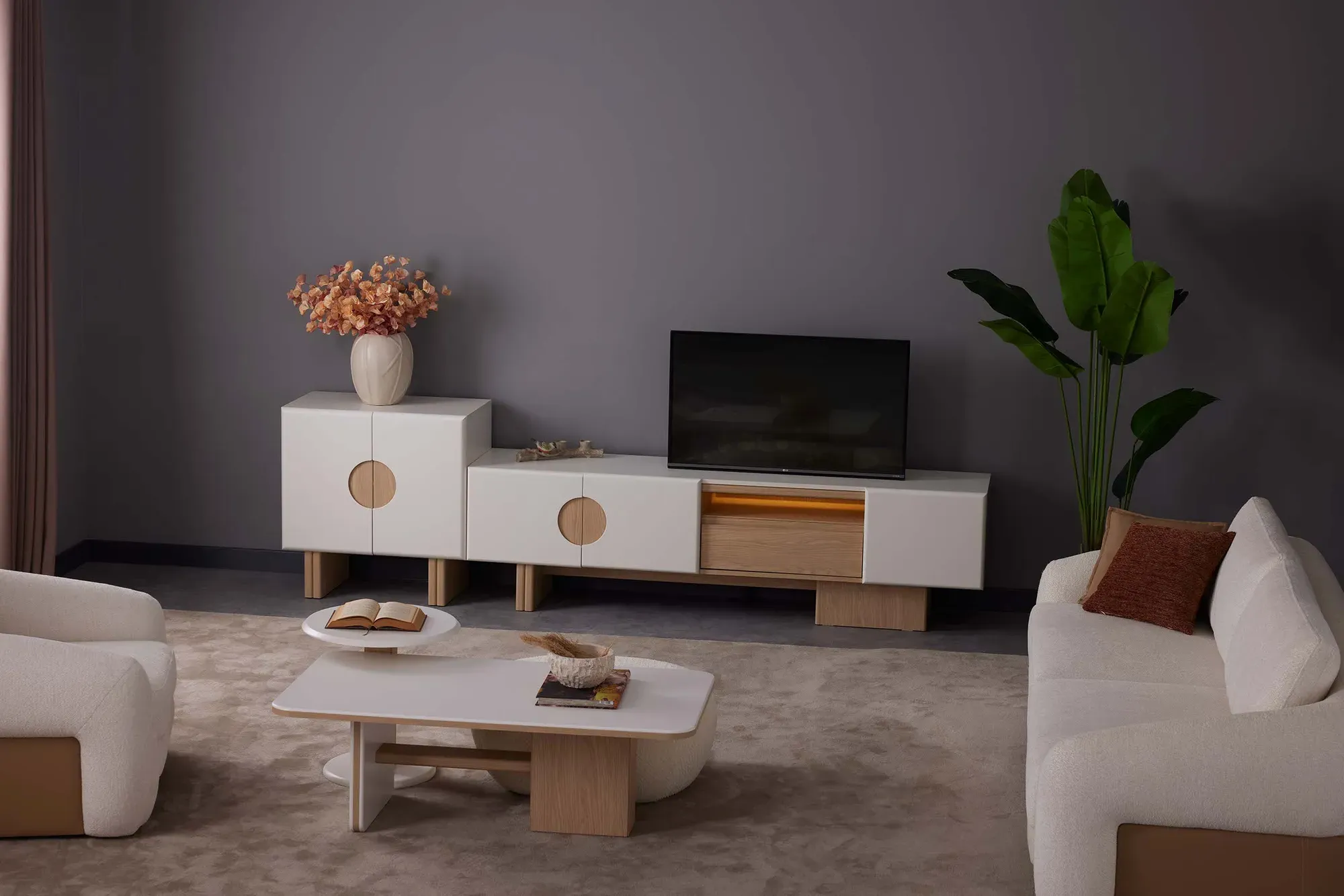 Lisa TV Ünitesi - fotoğraf 8