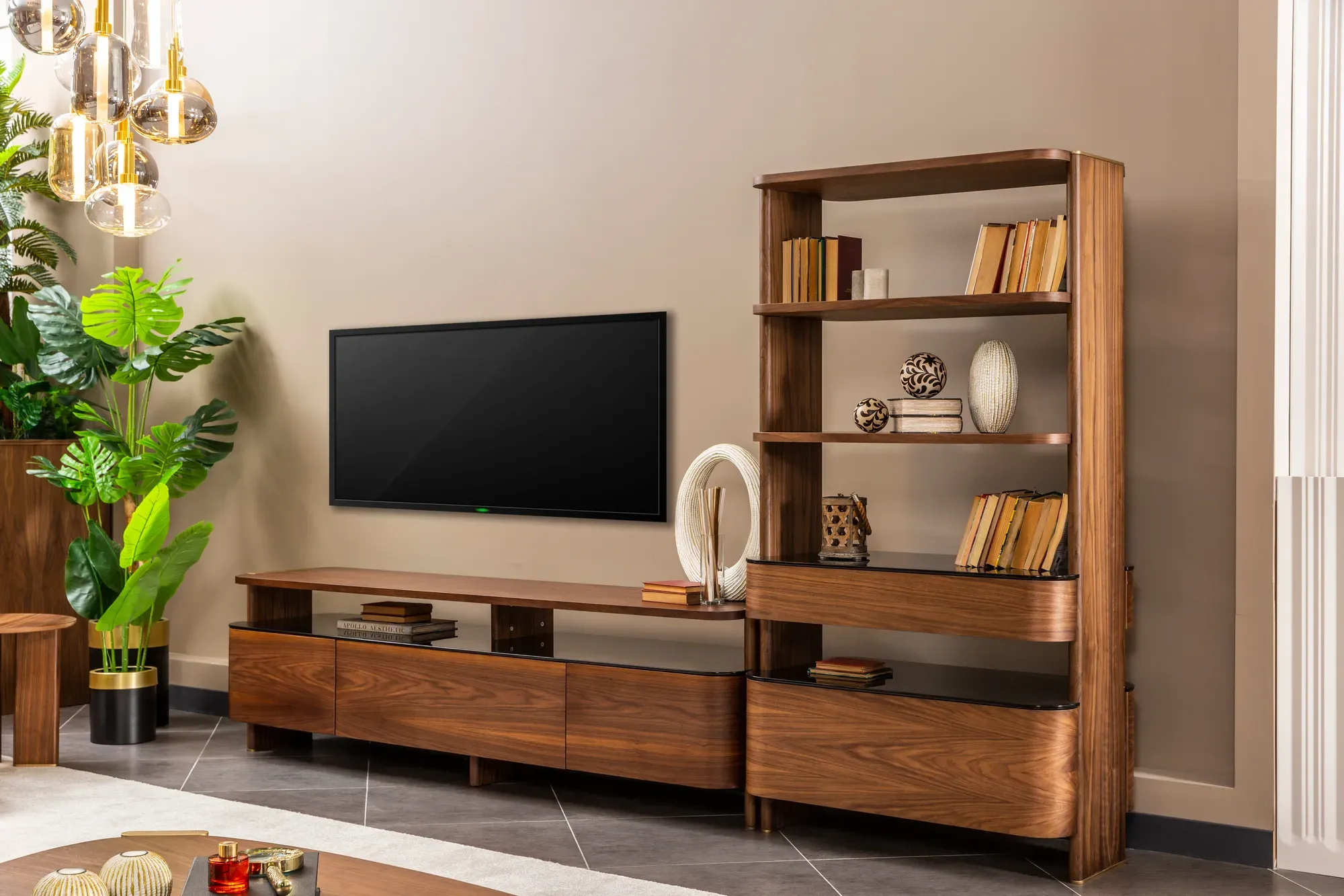 Zen TV Ünitesi - fotoğraf 2