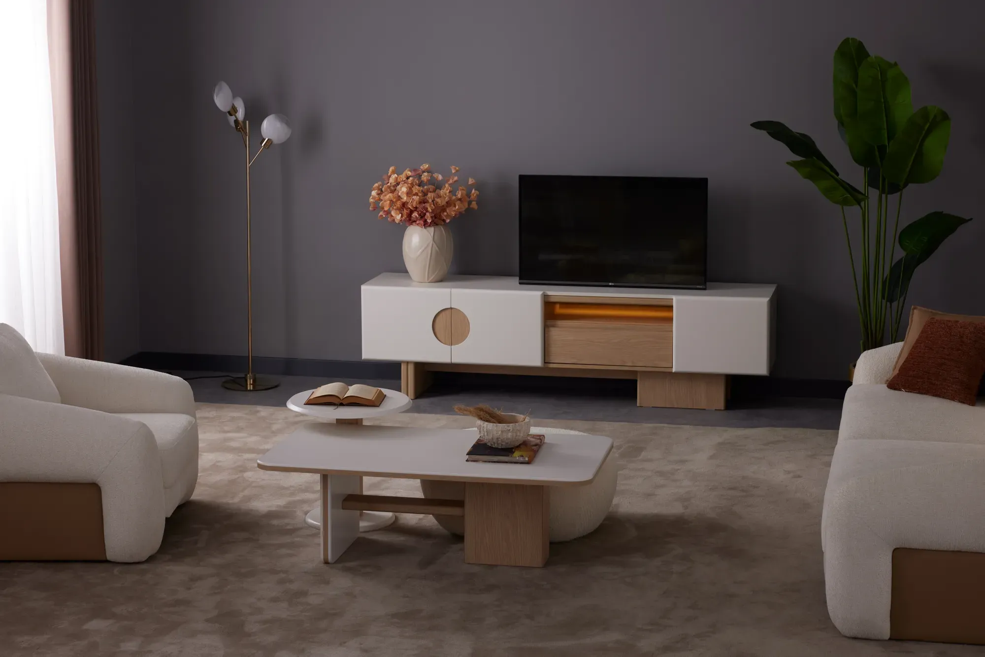 Lisa TV Ünitesi - fotoğraf 4
