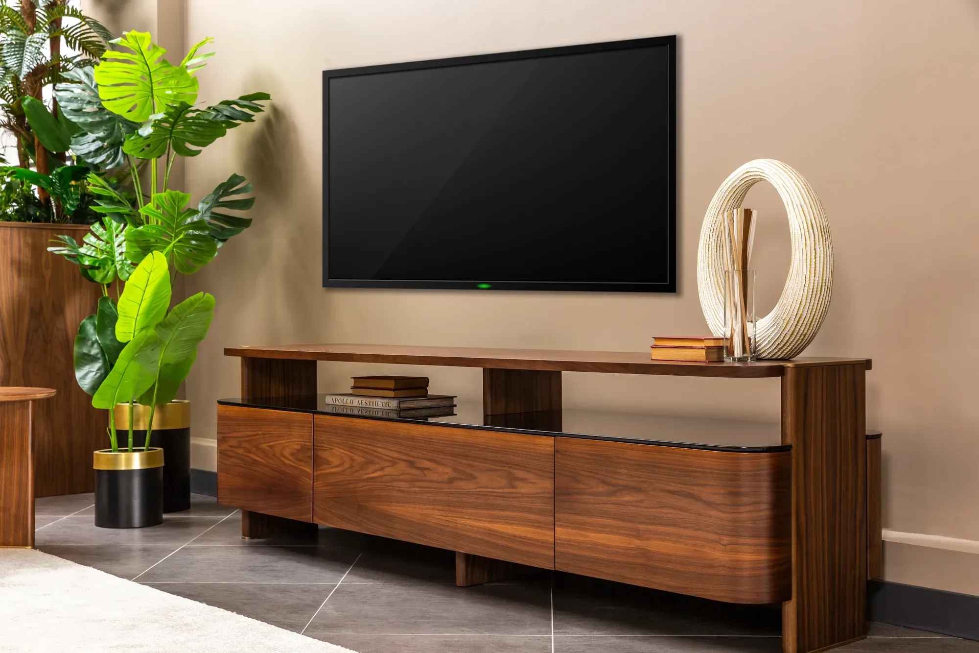 Zen TV Ünitesi - fotoğraf 9